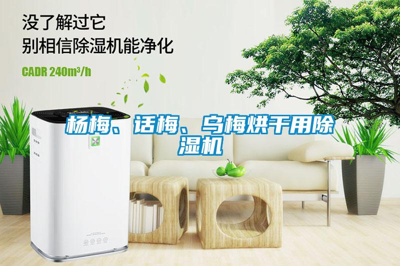 楊梅、話梅、烏梅烘干用除濕機(jī)