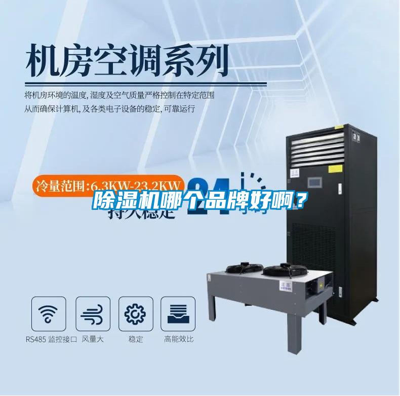 除濕機(jī)哪個品牌好啊？