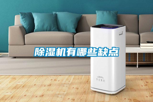 除濕機(jī)有哪些缺點(diǎn)