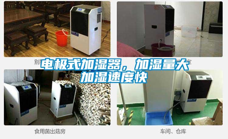 電極式加濕器，加濕量大加濕速度快