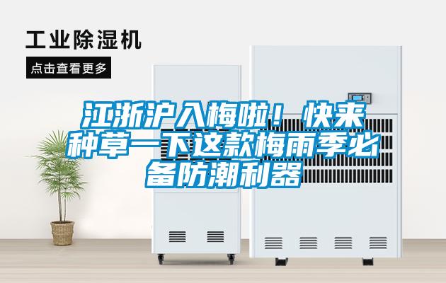 江浙滬入梅啦！快來(lái)種草一下這款梅雨季必備防潮利器