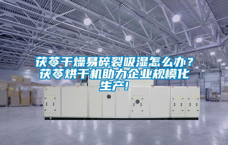 茯苓干燥易碎裂吸濕怎么辦？茯苓烘干機(jī)助力企業(yè)規(guī)?；a(chǎn)!