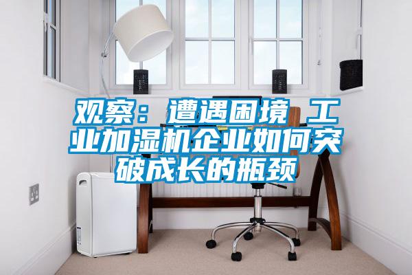 觀察：遭遇困境 工業(yè)加濕機企業(yè)如何突破成長的瓶頸