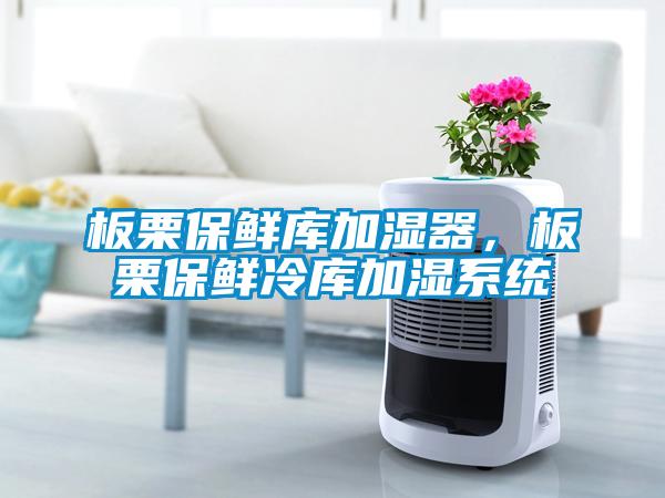 板栗保鮮庫加濕器，板栗保鮮冷庫加濕系統(tǒng)