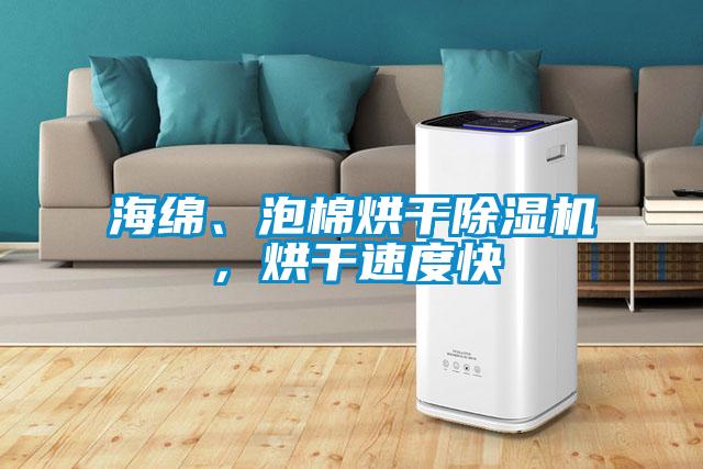 海綿、泡棉烘干除濕機，烘干速度快