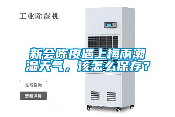 新會(huì)陳皮遇上梅雨潮濕天氣，該怎么保存？