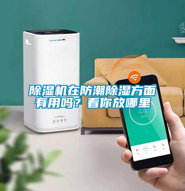 除濕機在防潮除濕方面有用嗎？看你放哪里