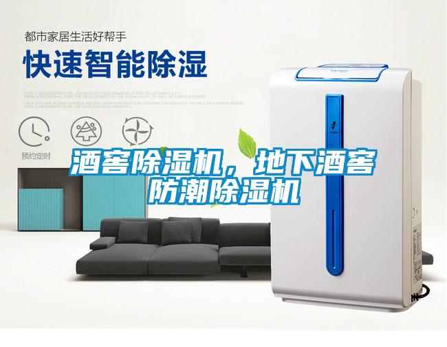 酒窖除濕機(jī)，地下酒窖防潮除濕機(jī)