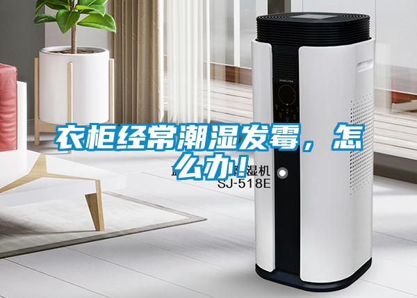 衣柜經(jīng)常潮濕發(fā)霉，怎么辦！