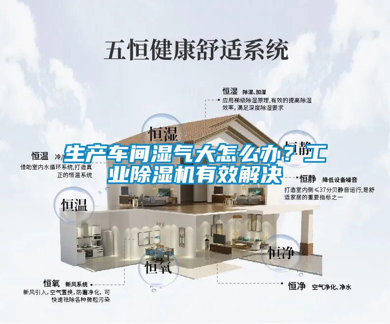 生產(chǎn)車間濕氣大怎么辦？工業(yè)除濕機(jī)有效解決
