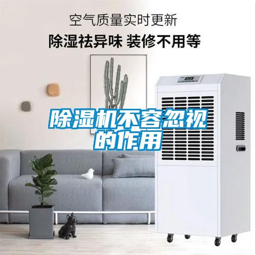 除濕機不容忽視的作用