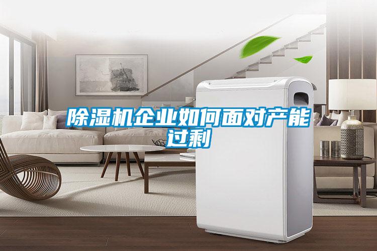 除濕機(jī)企業(yè)如何面對(duì)產(chǎn)能過剩