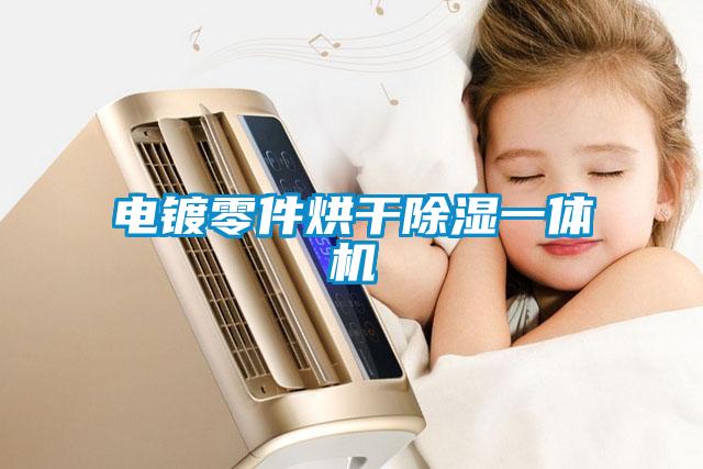 電鍍零件烘干除濕一體機(jī)