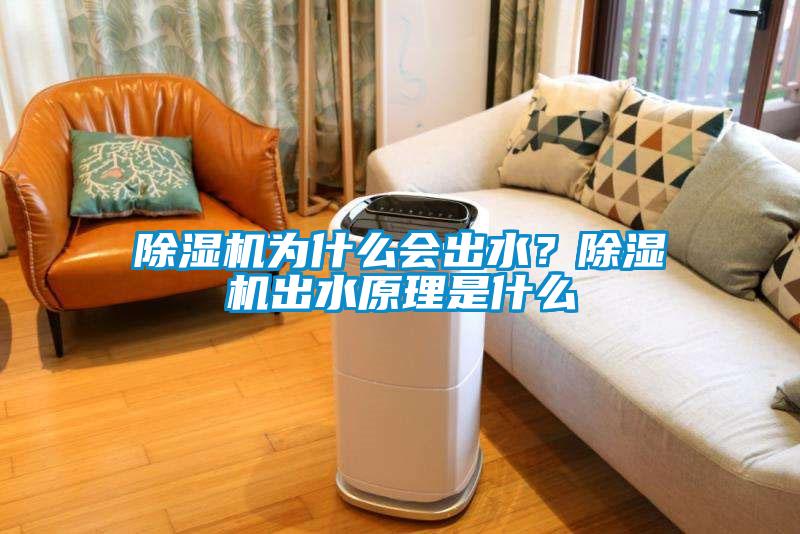 除濕機為什么會出水？除濕機出水原理是什么