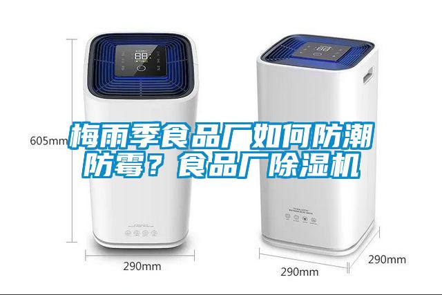 梅雨季食品廠如何防潮防霉？食品廠除濕機