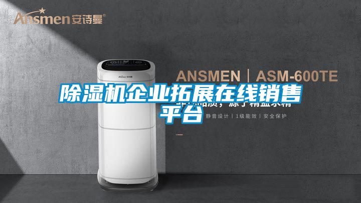 除濕機企業(yè)拓展在線銷售平臺
