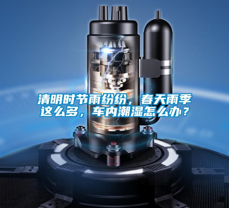 清明時(shí)節(jié)雨紛紛，春天雨季這么多，車內(nèi)潮濕怎么辦？