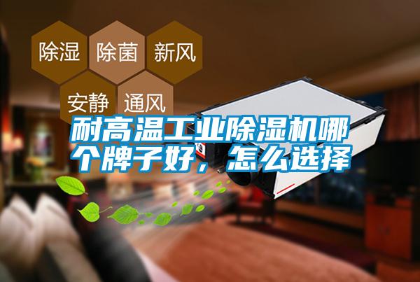 耐高溫工業(yè)除濕機(jī)哪個(gè)牌子好，怎么選擇