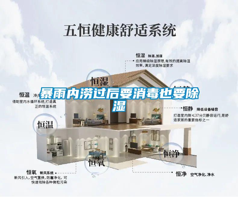 暴雨內(nèi)澇過后要消毒也要除濕
