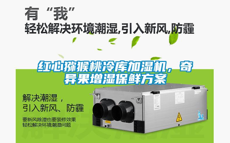 紅心獼猴桃冷庫(kù)加濕機(jī)，奇異果增濕保鮮方案