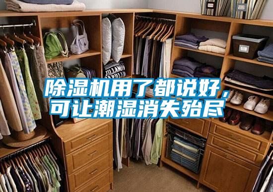 除濕機(jī)用了都說(shuō)好，可讓潮濕消失殆盡
