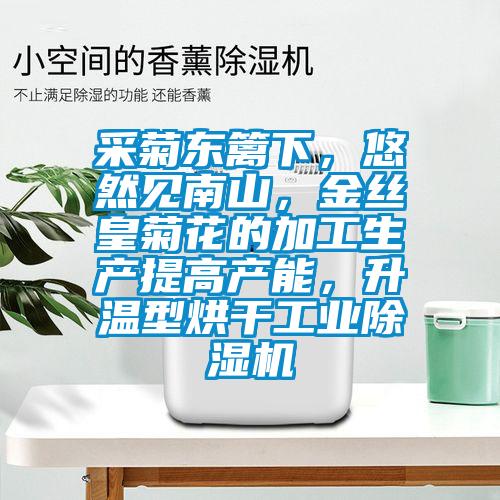 采菊東籬下，悠然見南山，金絲皇菊花的加工生產提高產能，升溫型烘干工業(yè)除濕機