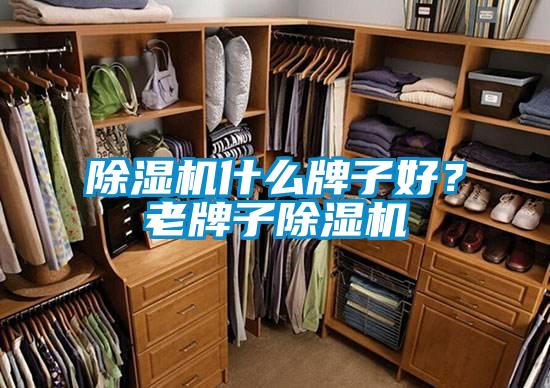 除濕機(jī)什么牌子好？老牌子除濕機(jī)