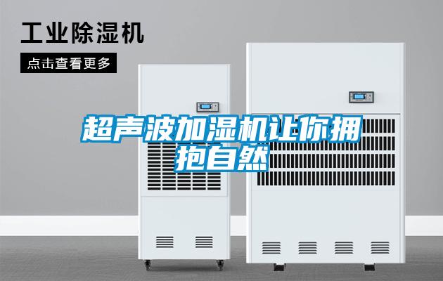 超聲波加濕機讓你擁抱自然