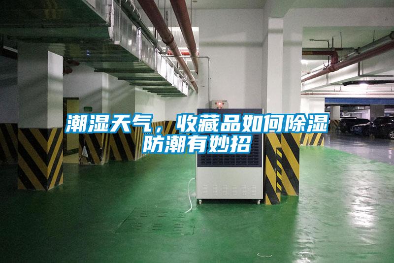 潮濕天氣，收藏品如何除濕防潮有妙招