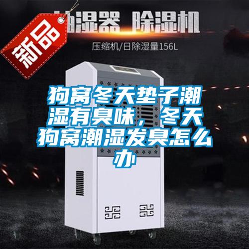 狗窩冬天墊子潮濕有臭味，冬天狗窩潮濕發(fā)臭怎么辦