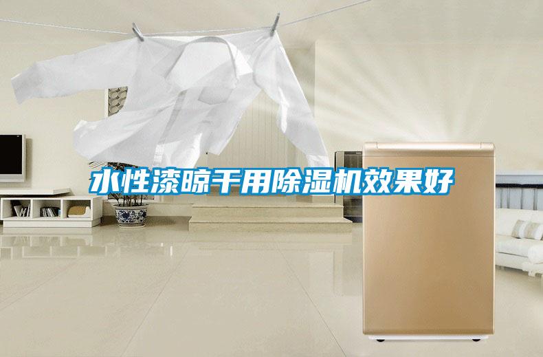 水性漆晾干用除濕機(jī)效果好