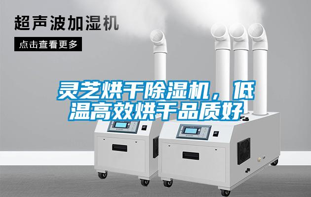 靈芝烘干除濕機，低溫高效烘干品質(zhì)好