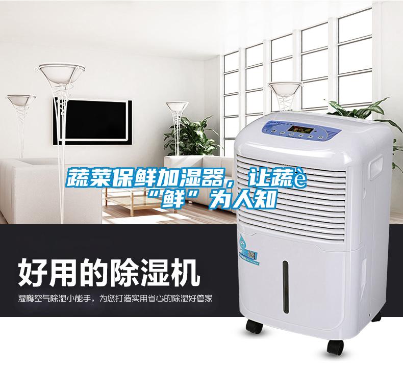 蔬菜保鮮加濕器，讓蔬菜“鮮”為人知