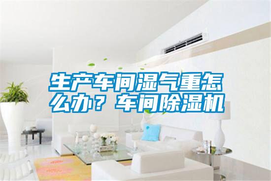 生產(chǎn)車間濕氣重怎么辦？車間除濕機(jī)