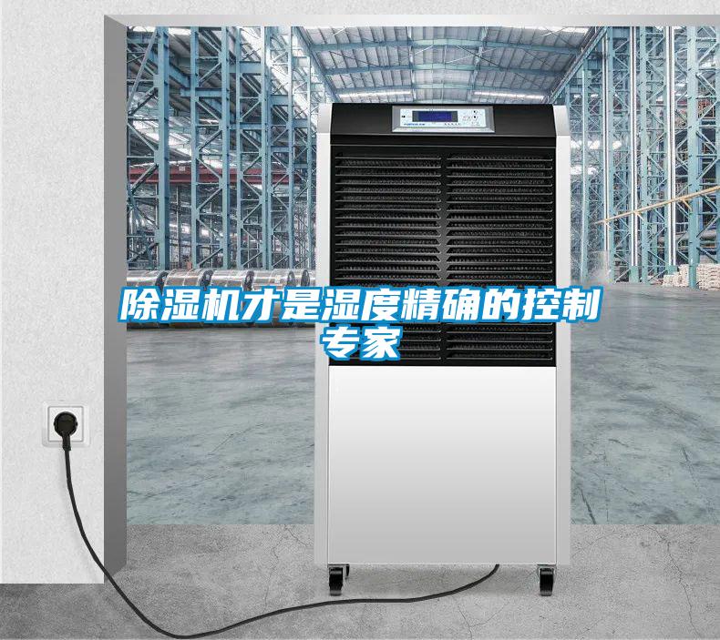 除濕機才是濕度精確的控制專家