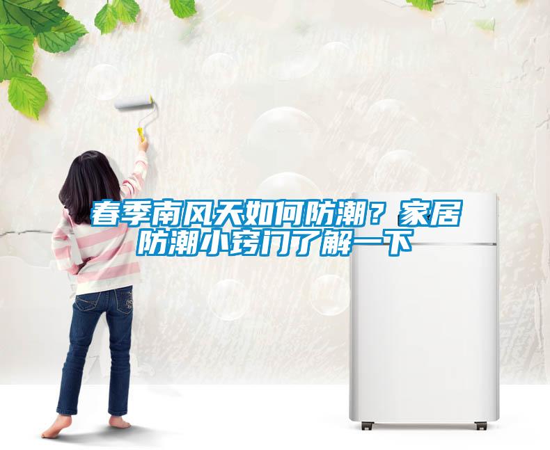 春季南風(fēng)天如何防潮？家居防潮小竅門了解一下