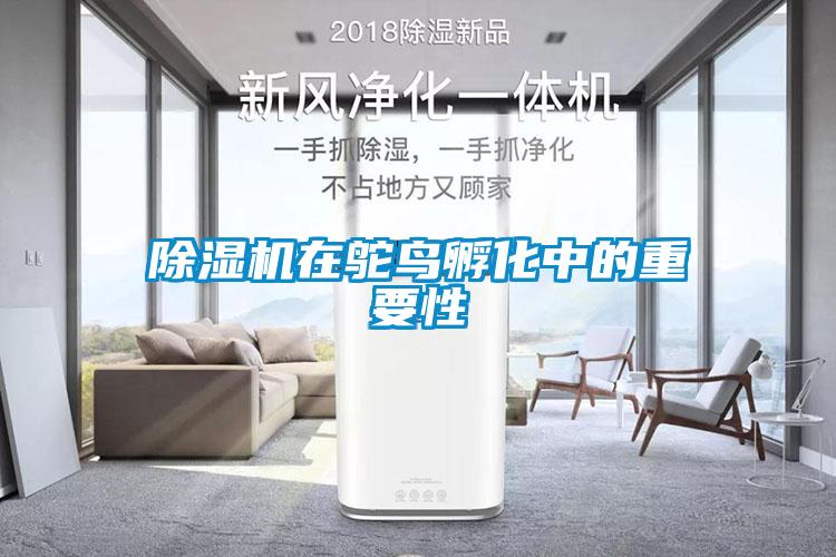 除濕機(jī)在鴕鳥(niǎo)孵化中的重要性