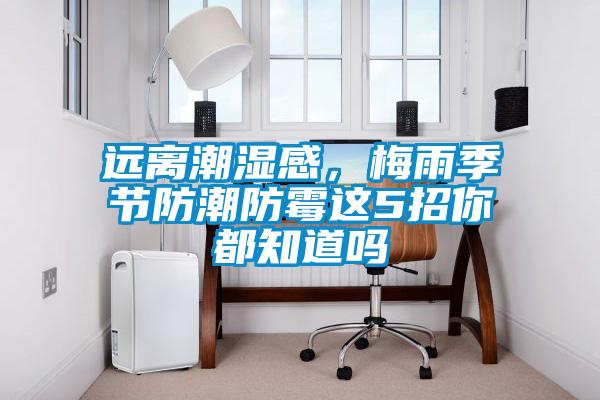 遠離潮濕感，梅雨季節(jié)防潮防霉這5招你都知道嗎