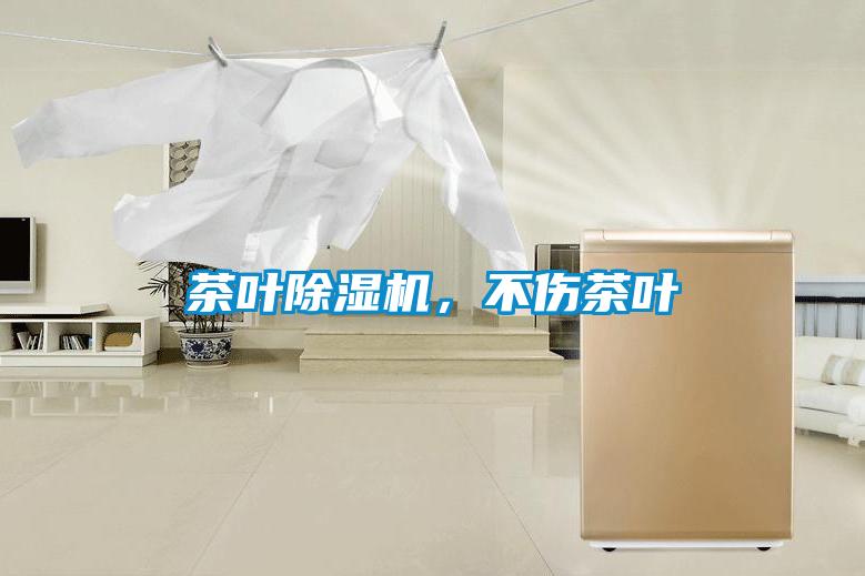 茶葉除濕機(jī)，不傷茶葉