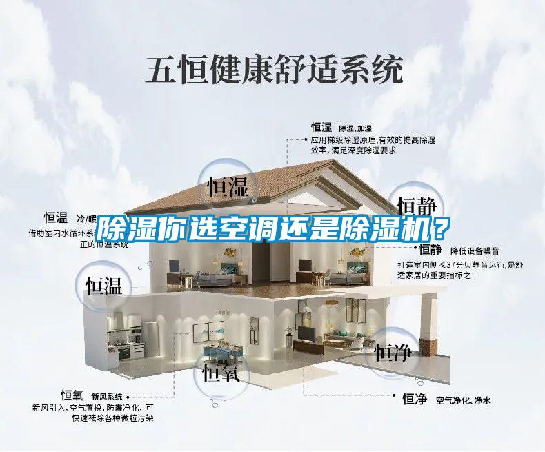除濕你選空調(diào)還是除濕機(jī)？