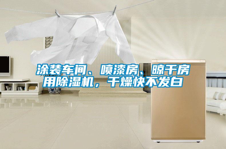 涂裝車間、噴漆房、晾干房用除濕機(jī)，干燥快不發(fā)白