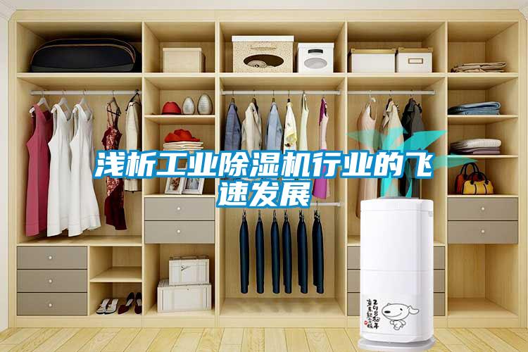 淺析工業(yè)除濕機(jī)行業(yè)的飛速發(fā)展