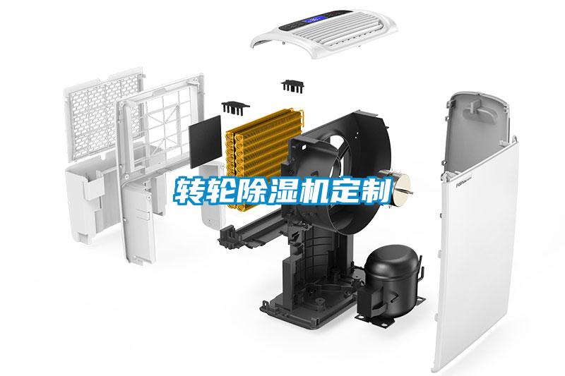 轉(zhuǎn)輪除濕機定制