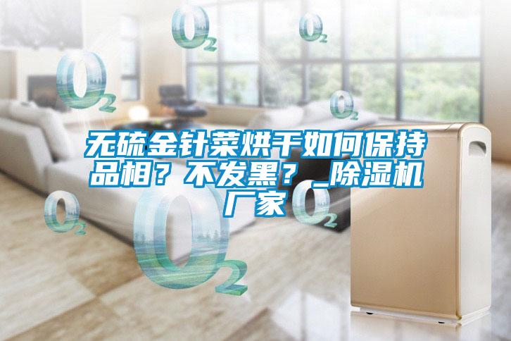 無硫金針菜烘干如何保持品相？不發(fā)黑？_除濕機(jī)廠家