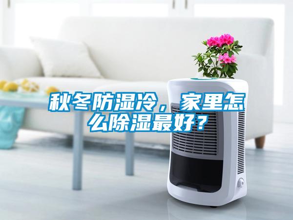 秋冬防濕冷，家里怎么除濕最好？