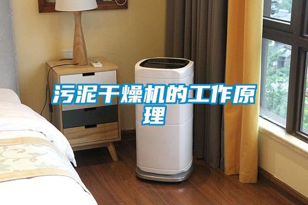 污泥干燥機(jī)的工作原理