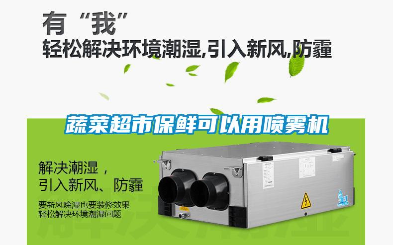 蔬菜超市保鮮可以用噴霧機