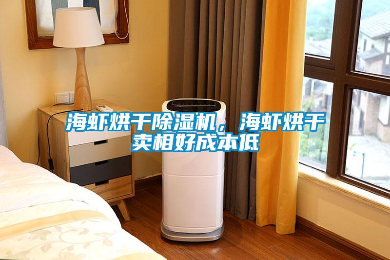 海蝦烘干除濕機，海蝦烘干賣相好成本低