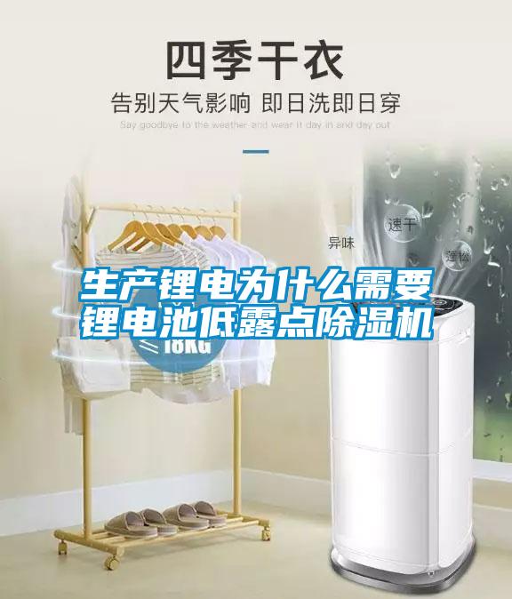 生產(chǎn)鋰電為什么需要鋰電池低露點除濕機