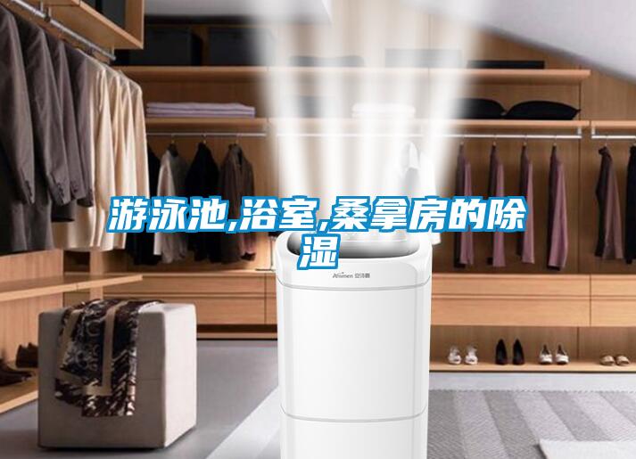 游泳池,浴室,桑拿房的除濕